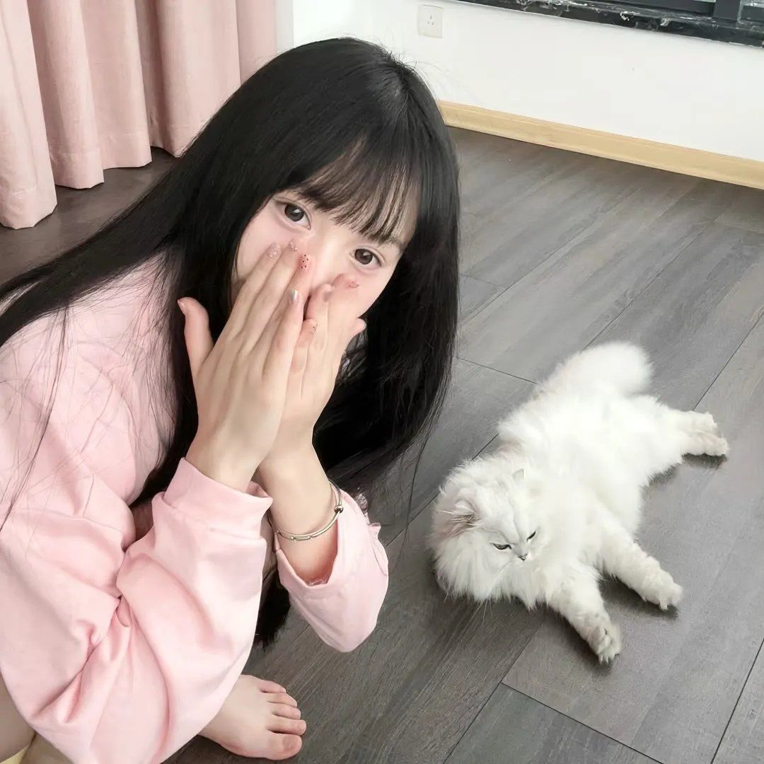 键盘侠
