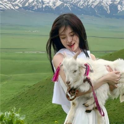 铳梦：战斗天使