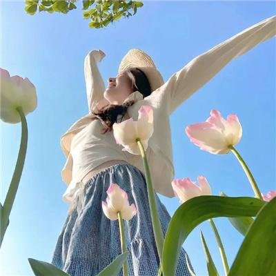 僵尸高校4:吸血鬼黎明